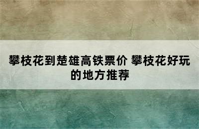 攀枝花到楚雄高铁票价 攀枝花好玩的地方推荐